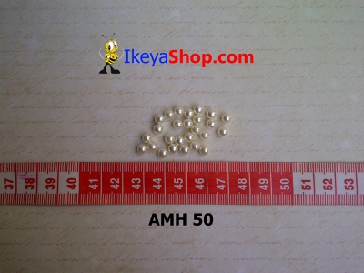AMH 50  large2